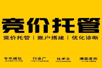 成功案例：SEM托管助力企业品牌传播